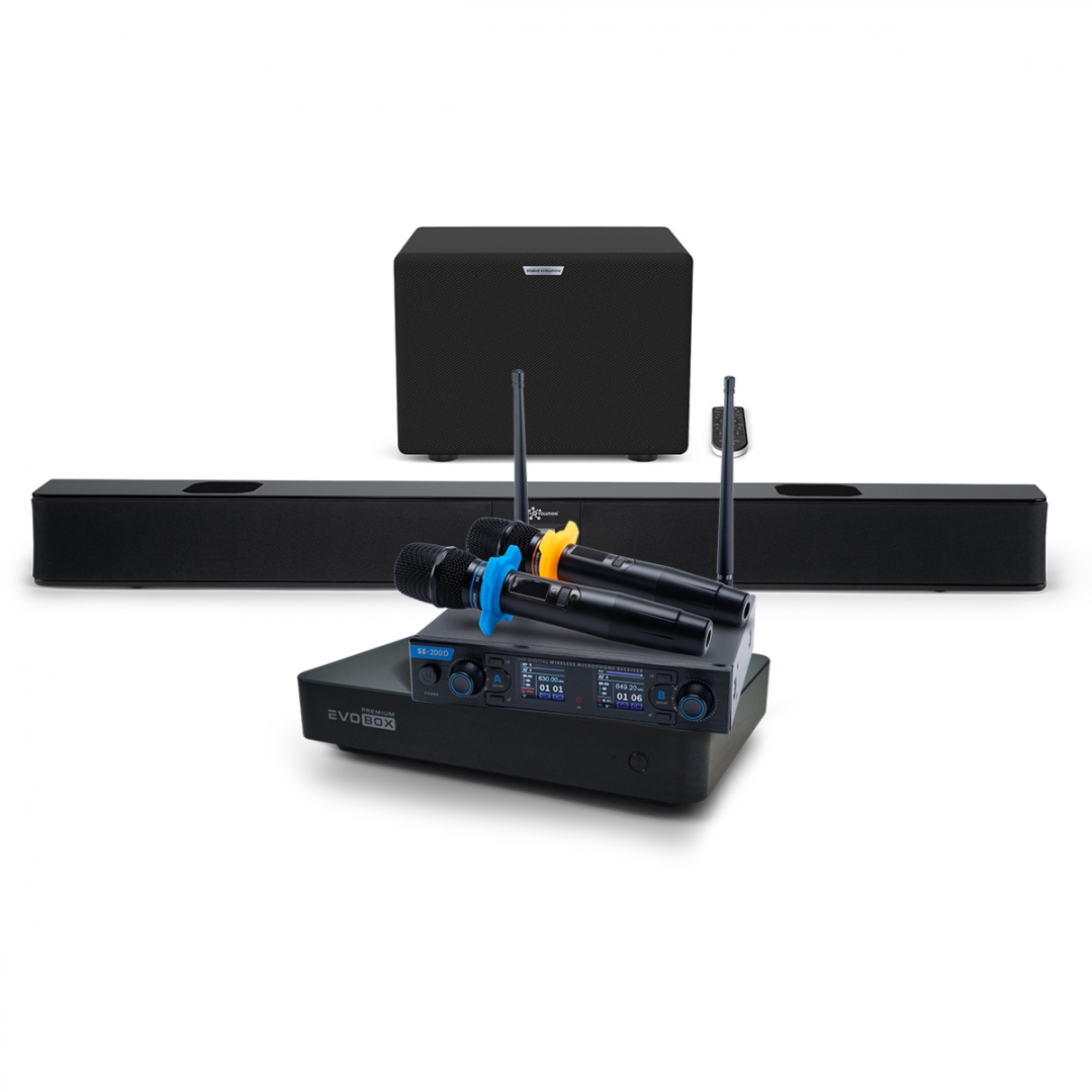 Hi-End караоке-система EVOBOX Premium + EvoSoundBar (саундбар с караоке) в Сарове