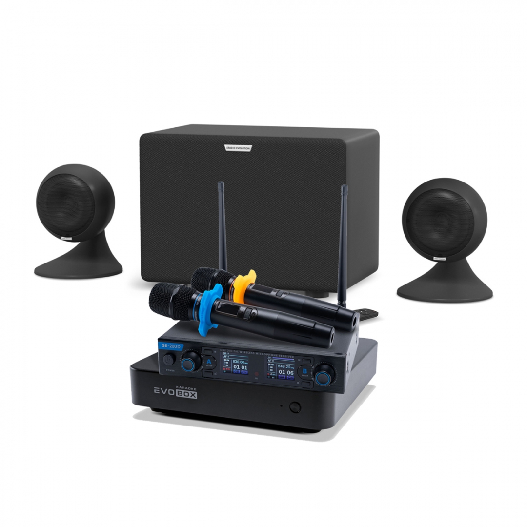 караоке-комплект EVOBOX + EvoSound Sphere 2.1 в Сарове