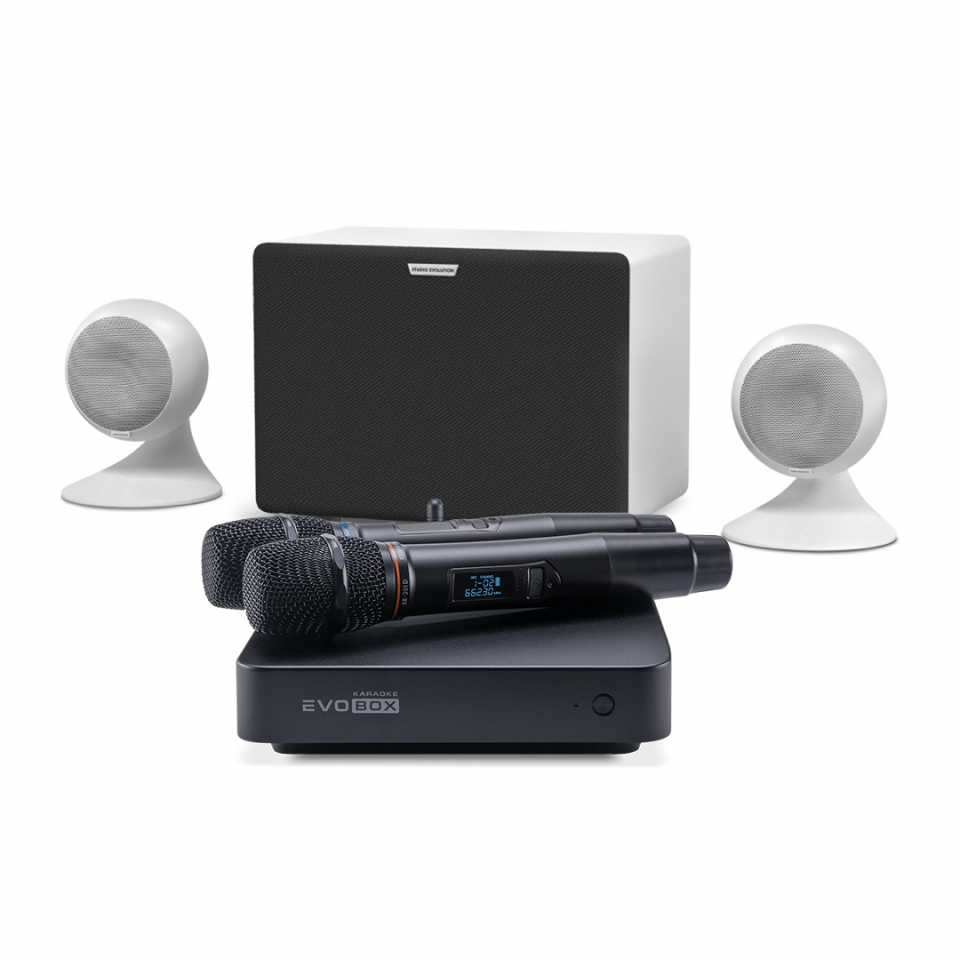караоке-комплект EVOBOX Classic + EvoSound Sphere 2.1 в Сарове