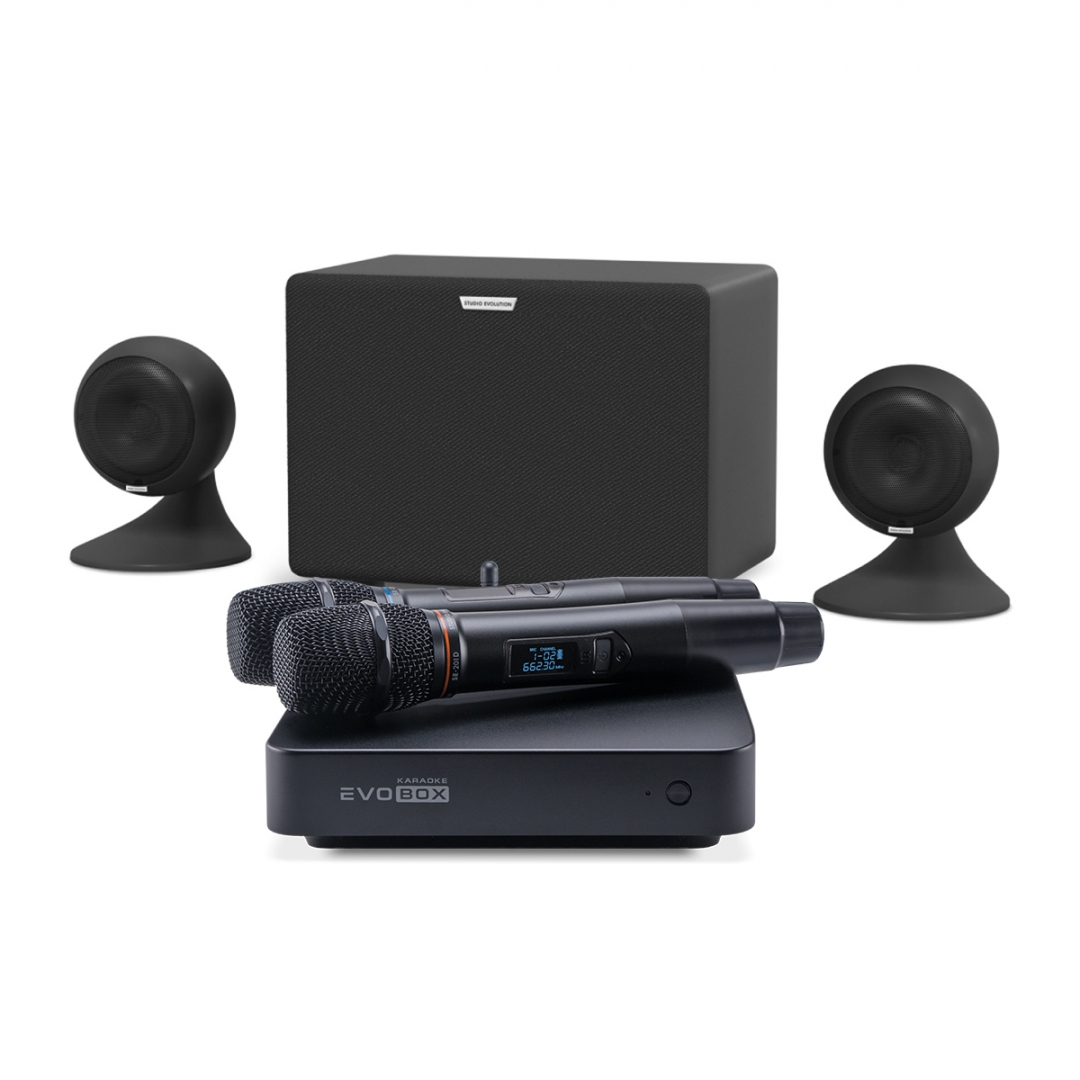 караоке-комплект EVOBOX Plus + EvoSound Sphere 2.1 в Сарове