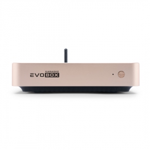EVOBOX Plus караоке-система для дома в Сарове