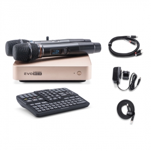 EVOBOX Plus караоке-система для дома в Сарове